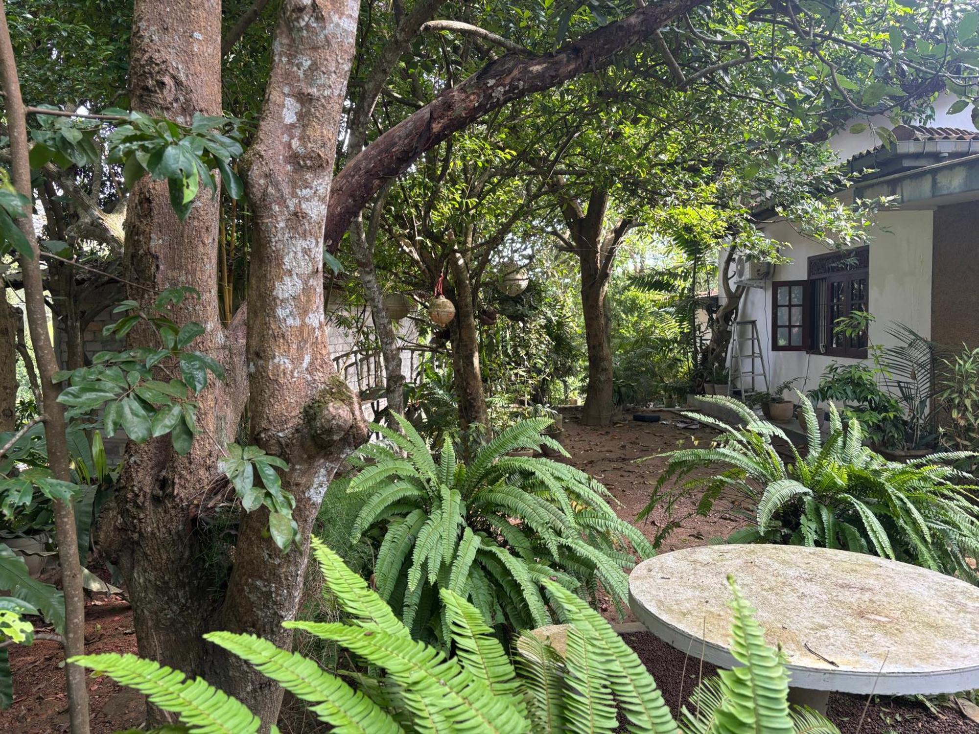 Eco Garden Hiriketiya Hotell Dikwella Eksteriør bilde