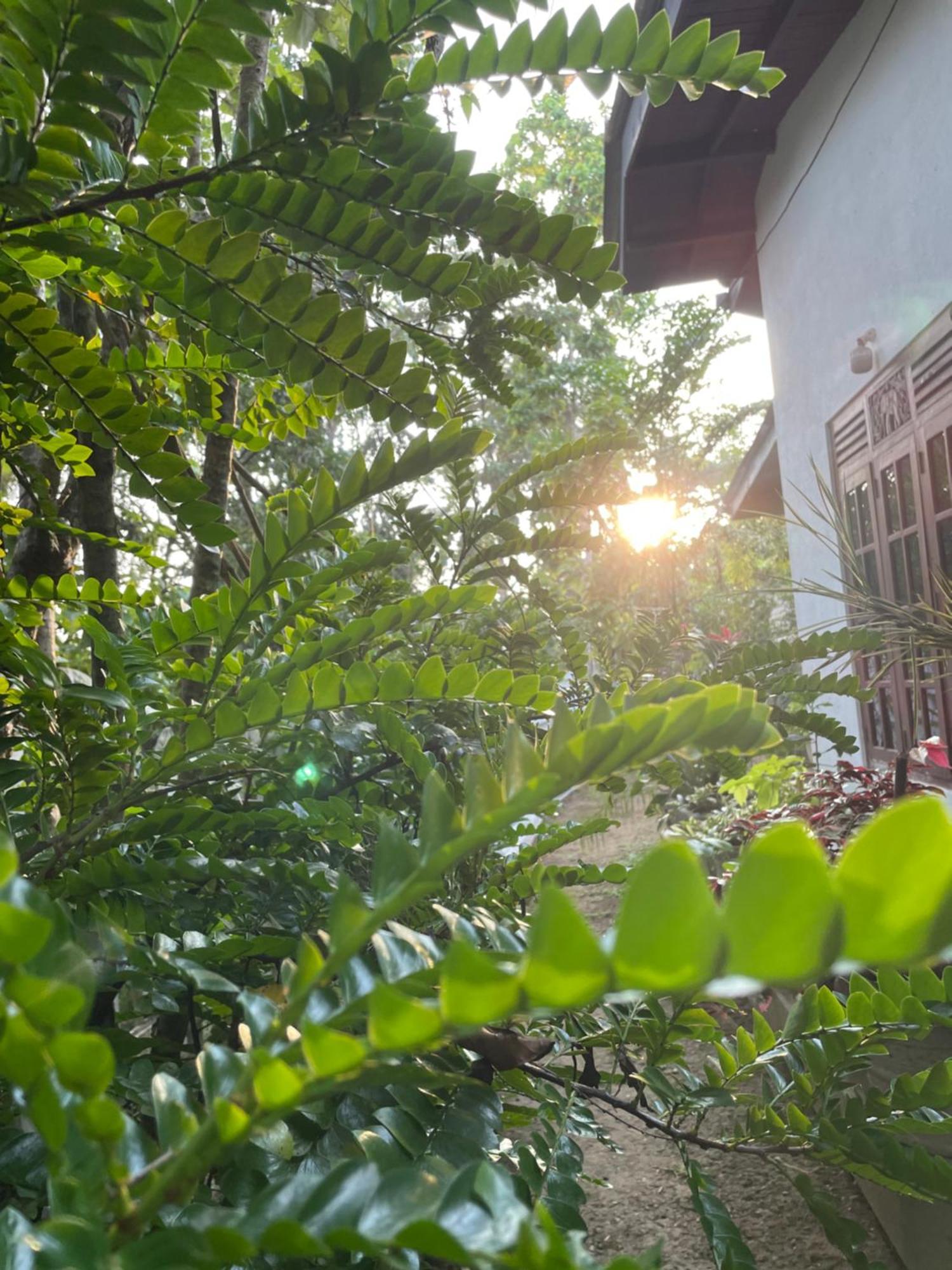 Eco Garden Hiriketiya Hotell Dikwella Eksteriør bilde